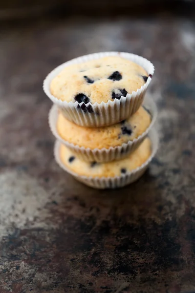 Muffins de arándanos — Foto de Stock