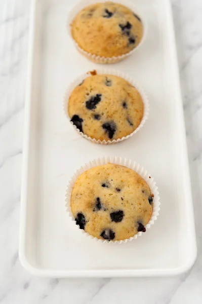 Muffins de mirtilo — Fotografia de Stock