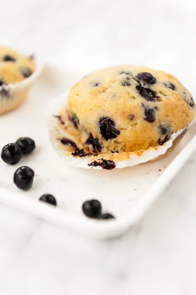 Blueberry muffins — Stock Photo, Image