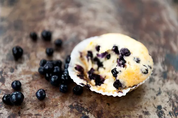 Blåbärsmuffins — Stockfoto