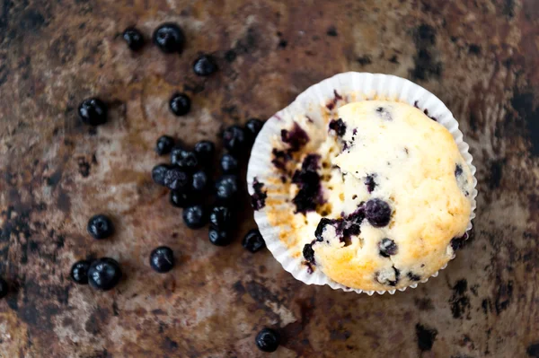 Blaubeermuffins — Stockfoto