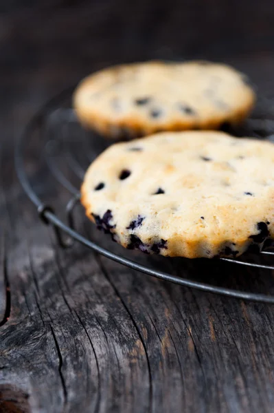 Blueberry tart — Stock Photo, Image