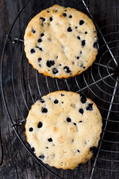 Blueberry tart — Stock Photo, Image