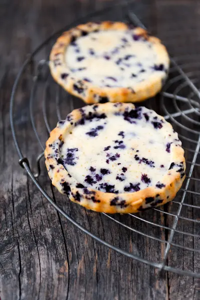 Blueberry tart — Stock Photo, Image