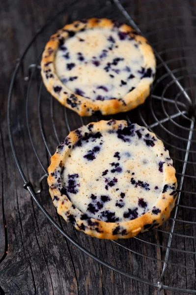 Blueberry tart — Stock Photo, Image