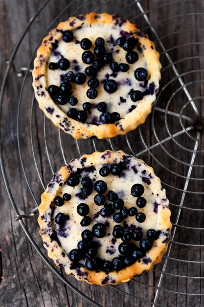 Blueberry Tart — Stockfoto