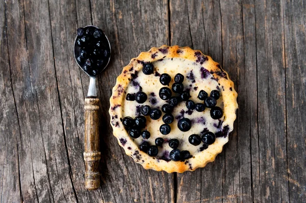 Blueberry Tart — Stockfoto