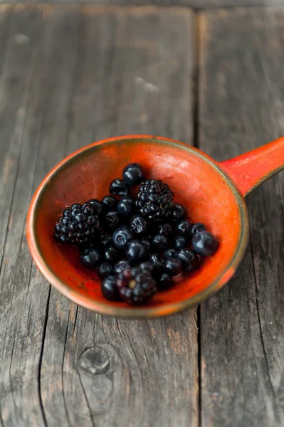 Blueberries — Stock Photo, Image