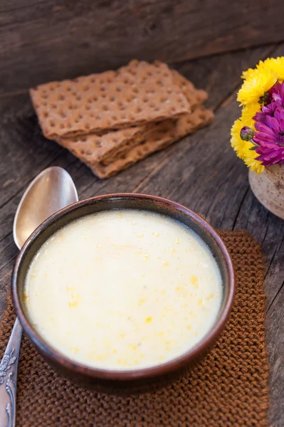 Chicken soup  with sour cream — Stock Photo, Image