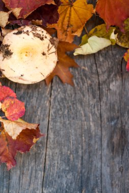 Ahşap bir arka planda sonbahar yaprakları