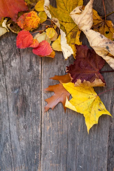 Podzimní listí na dřevěném pozadí — Stock fotografie