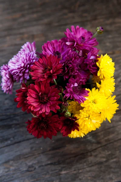 Chrysanthemum in a vase — Stock Photo, Image