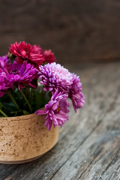 Chrysanthemum in a vase — Stock Photo, Image