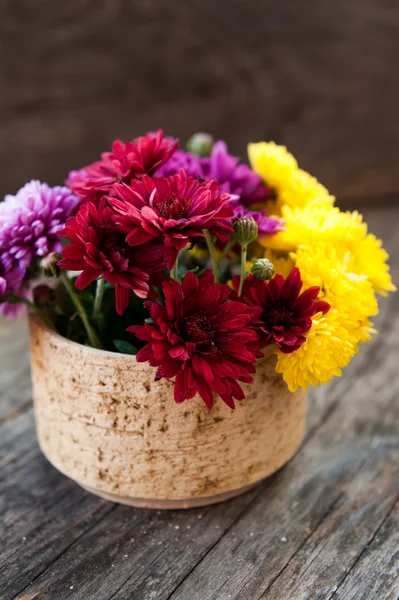 Chrysanthemum in a vase — Stock Photo, Image