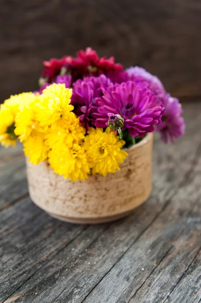 Chrysanthemum in a vase — Stock Photo, Image