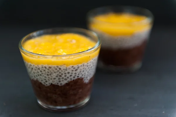 Chia seeds pudding with mango puree — Stock Photo, Image