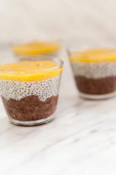 Chia seeds pudding with mango puree — Stock Photo, Image