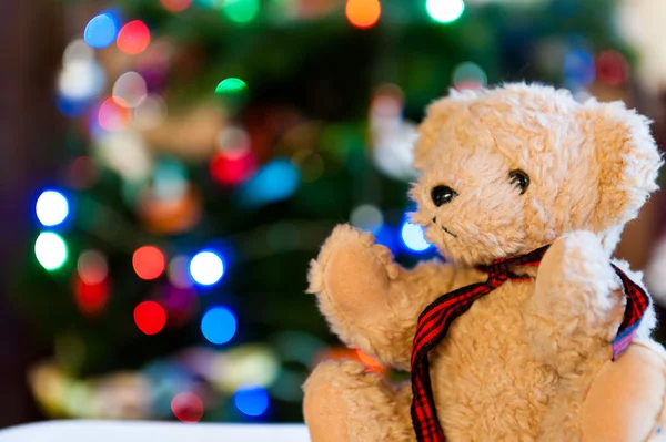 Close up of a bear — Stock Photo, Image