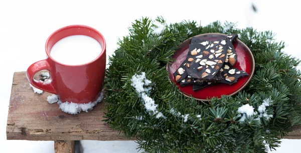 Homemade raw vegan chocolate — Stock Photo, Image