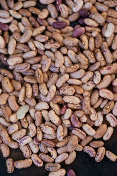 Brown beans on a black background — Stock Photo, Image