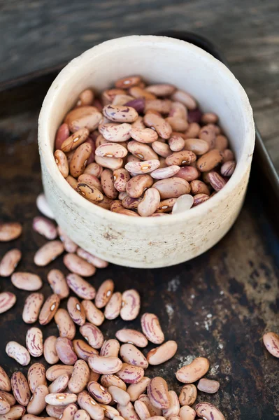 Brown beans on a black background — Stock Photo, Image