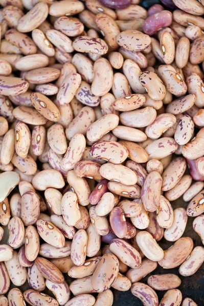 Brown beans on a black background — Stock Photo, Image