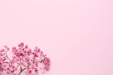 Zarif çiçekli yumuşak pembe kompozisyon. Pastel pembe arkaplan manzaralı güzel çiçekler