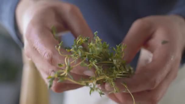 Mano Rociando Orégano Cámara Lenta Poniendo Orégano Pasta Alimentos Partículas — Vídeos de Stock