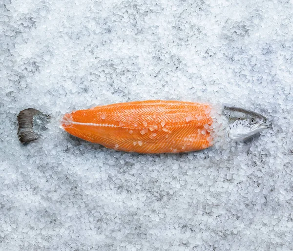 Frisches Rohes Lachsfischsteak Auf Eis Über Grauem Stein Hintergrundansicht — Stockfoto