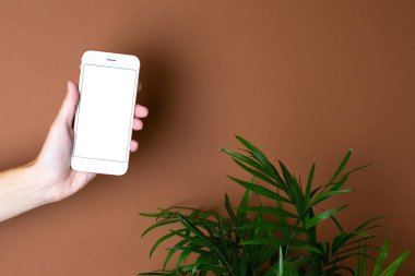 Elinde yeşil bitki manzaralı kahverengi turuncu arka plandaki cep telefonuna dokun. Asgari, şık, moda konsepti. Uzayı kopyala Trend rengi 2021.