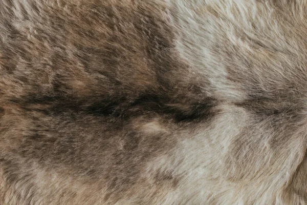 Natuurlijke Wol Textuur Dieren Vacht Van Wolf Met Een Donkere — Stockfoto