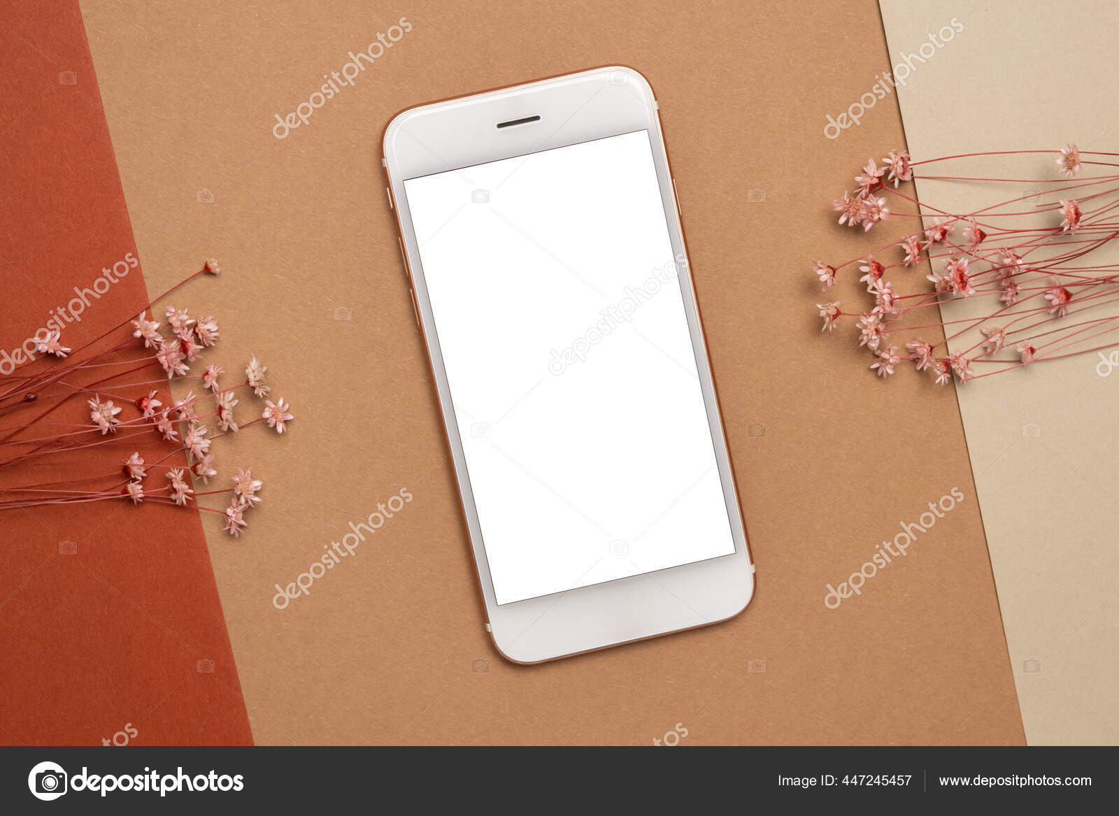 Dry flower branch on a light brown background. Trend, minimal