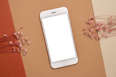 Açık kahverengi arka planda beyaz ekran ve kuru pembe çiçek dallı cep telefonu. Telif alanı üst görünümüne sahip en düşük konsept