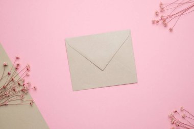 Açık bej zarf pembe arka planda kuru çiçek dalı. Hassas panorama ve eğilim, en az kurumuş konsept arkaplan görünümü