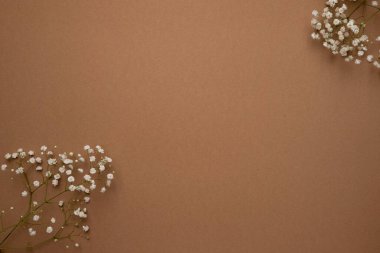 Kahverengi arka plan, kuru çiçekler ve taş. Doğal renkler, trend konsepti