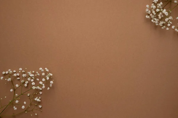 Kahverengi arka plan, kuru çiçekler ve taş. Doğal renkler, trend konsepti