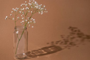 Samimi sonbahar evi hala vazodaki kuru çiçeklerin yaşamı kahverengi arka planda ve parlak güneşin duvarındaki gölgeler