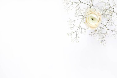 Beyaz arka planda vazoda beyaz ranunculus, güzel bahar çiçeği, telif alanı üst görüşlü eski kart