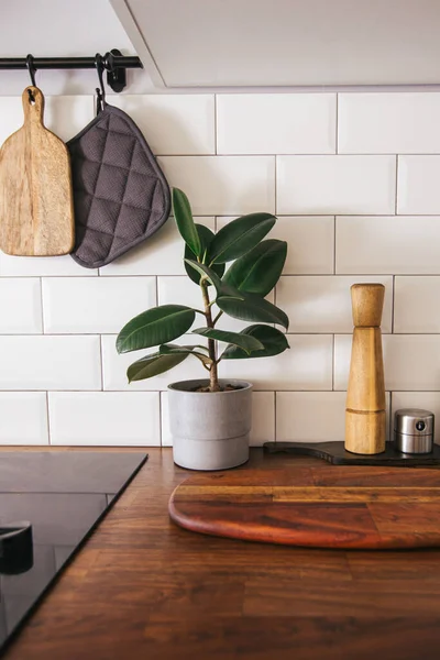 Kitchen brass utensils, chef accessories. Hanging kitchen with white tiles wall and wood tabletop.Green plant on kitchen background vertical side view