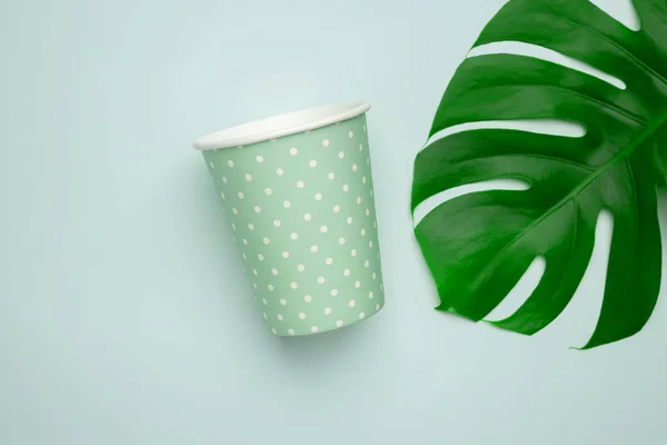 Paper cup with polka dot print green color on mint background with monstera leaf. Eco friendly takeout cup for drink top view