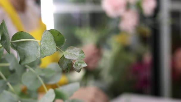 Female Florist Flower Shop Woman Making Beautiful Stylish Bouquet Fresh — Stock Video