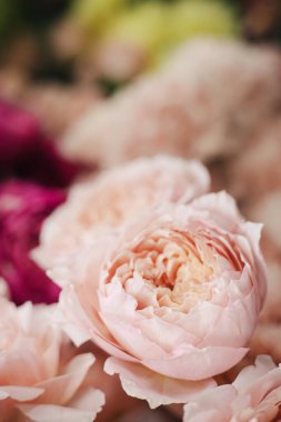 Çiçekçi dükkanı konsepti. Buzdolabında çiçekler için farklı taze bahar çiçekleri var. Buketler rafta, çiçekçiler dikey. 