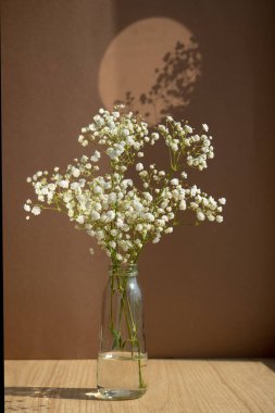 Minimalist natürmort. Kahverengi arka planda beyaz kurumuş çiçekli cam vazo. Şık, minimalist, durgun bir hayat. Bir çiçekli atmosferik fotoğraf.