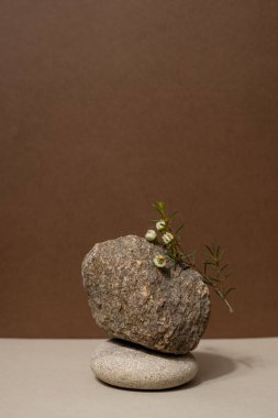 Taşlardan ve kuru dallardan oluşan soyut doğa sahnesi. Kozmetik, güzellik ürünü markalaşma, kimlik ve ambalaj için nötr bej arka plan. Doğal pastel renkler. 