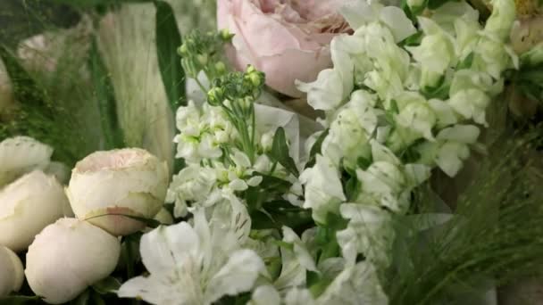 Pengiriman bunga. Tutup bunga mekar segar yang indah di toko bunga. Konsep toko bunga. Varietas yang berbeda bunga musim semi segar di ruang lemari es untuk bunga. 4k — Stok Video