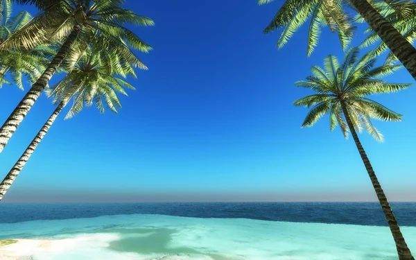 Hindistan cevizi ağacı üzerinde plaj 3d render — Stok fotoğraf