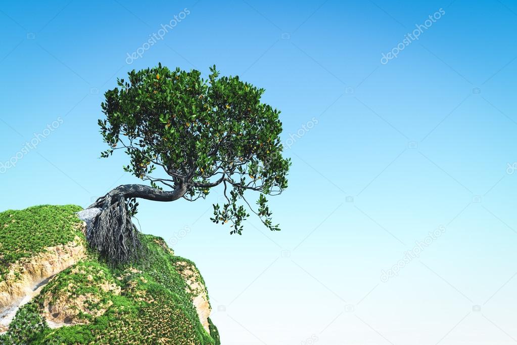 Mangrove tree on the hill 3d rendering