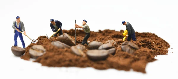 Pessoas em miniatura: trabalhando com conceito de grãos de café — Fotografia de Stock