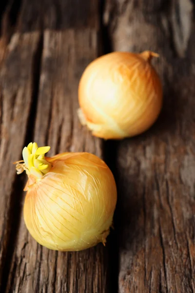 Cebolas frescas em madeira vintage — Fotografia de Stock