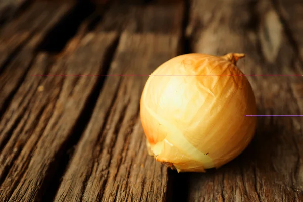 Fresh Onion — Stock Photo, Image
